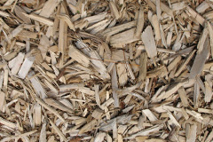 biomass boilers Dinder